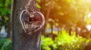 Selbstliebe